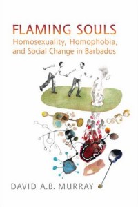 Flaming Souls, Homosexuality, Homophobia, and Social Change in Barbados, david murray